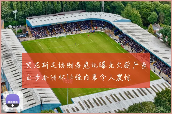 突尼斯足协财务危机曝光欠薪严重止步非洲杯16强内幕令人震惊