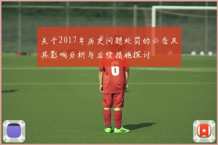 关于2017年历史问题处罚的公告及其影响分析与后续措施探讨